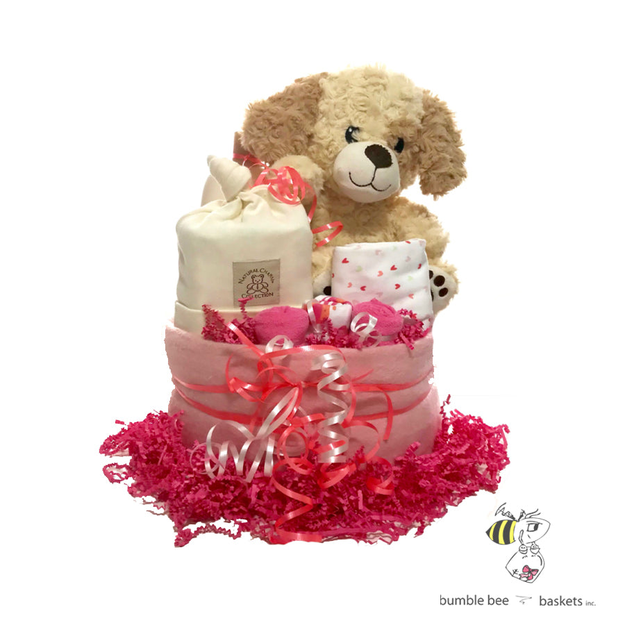 Diaper Cake Baby Gift Set