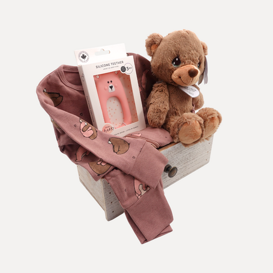 Little Explorer - Bear
