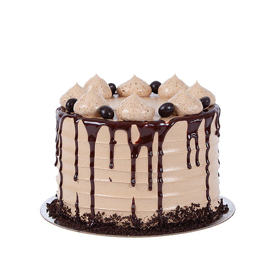 Mocha Chocolate Chip Cake
